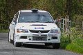 Monaghan Stages Rally 26th April 2015 STAGE 4 (32)